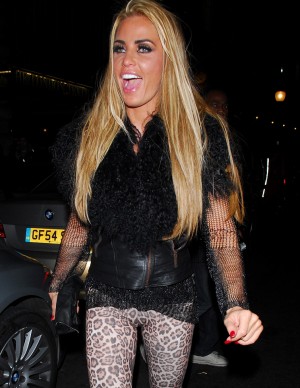 photos Katie Price