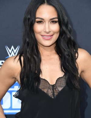 photos The Bella Twins