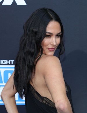 photos The Bella Twins