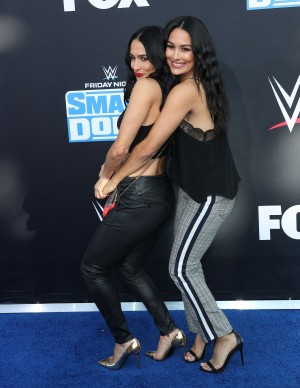 photos The Bella Twins