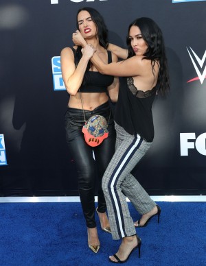 photos The Bella Twins