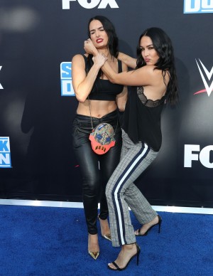 photos The Bella Twins