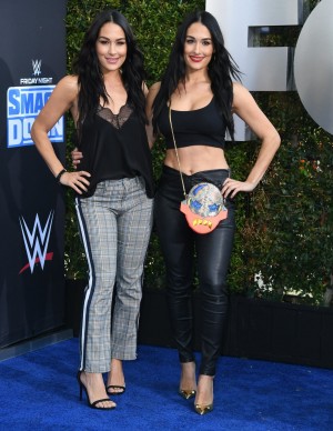 photos The Bella Twins