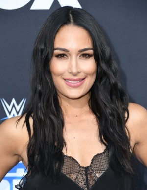 photos The Bella Twins