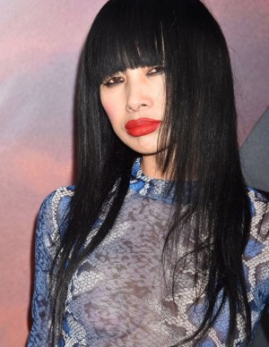 photos Bai Ling