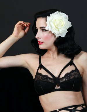 photos Dita Von Teese