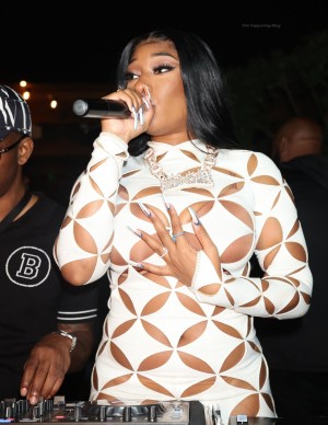 photos Megan Thee Stallion