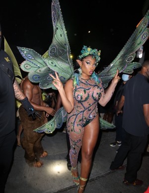 photos Megan Thee Stallion