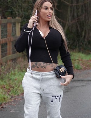 photos Katie Price