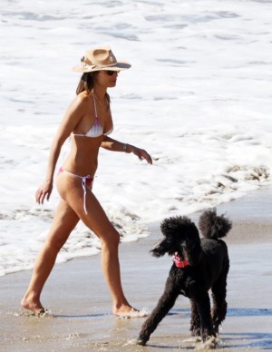 photos Jordana Brewster