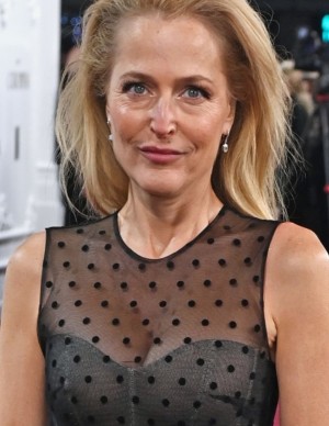 photos Gillian Anderson