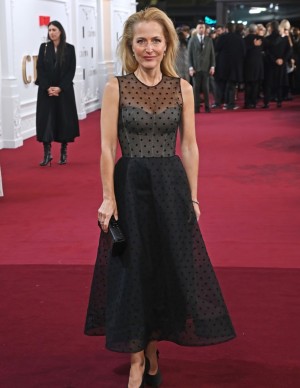 photos Gillian Anderson