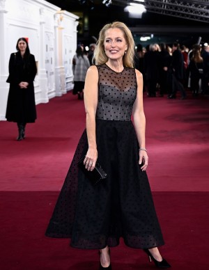 photos Gillian Anderson