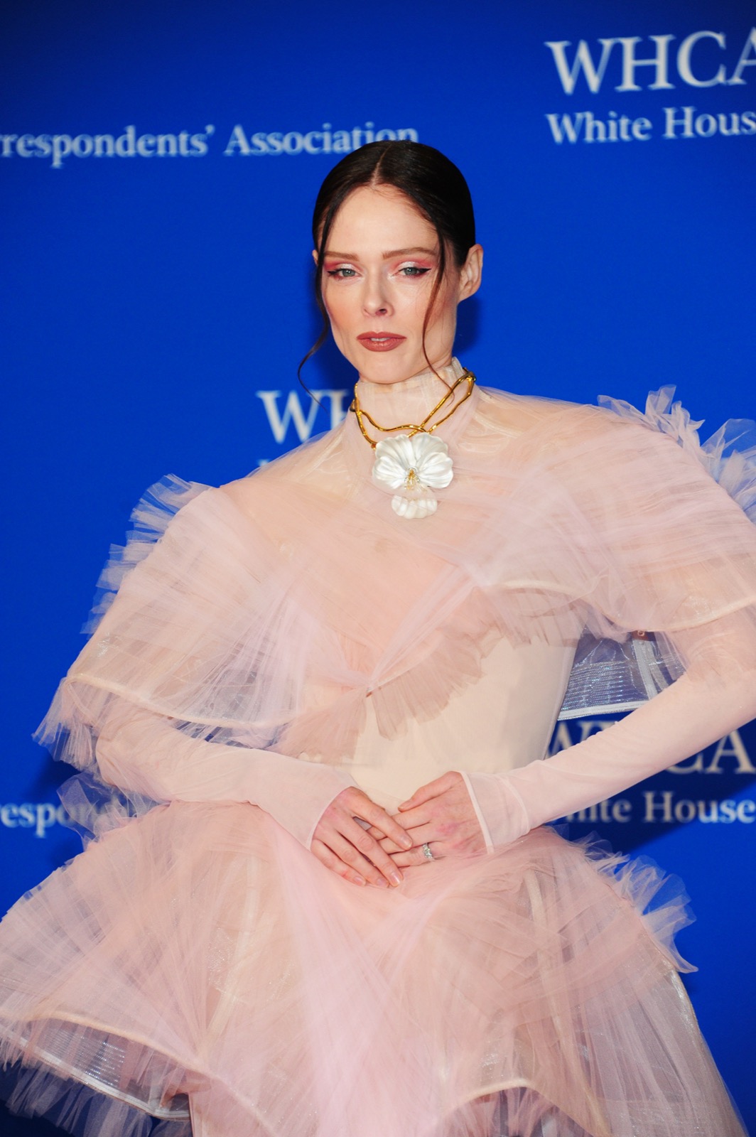 Coco Rocha au gala White House Correspondents