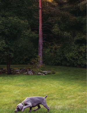 photos Maitreyi Ramakrishnan